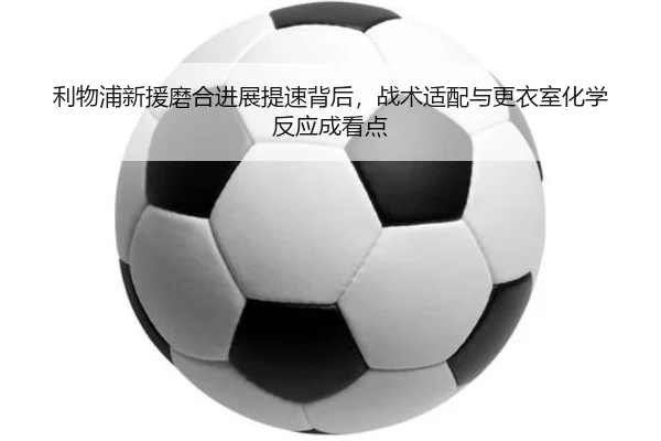 img_1781495312102_96_1_246.jpg